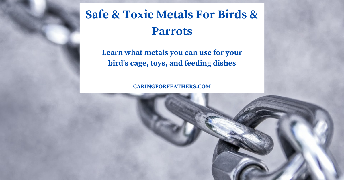 safe metals for birds